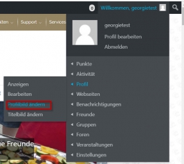 Profilbild ändern