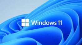 Windows 11 Logo 493x275