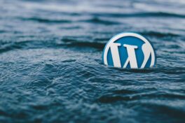 wordpress-sinkt