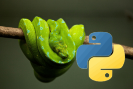 python