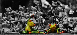 frogs-1413787_1920