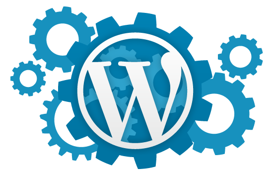 WordPress anpassen