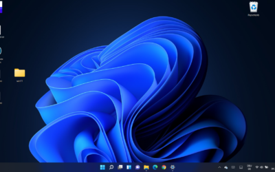 Update auf Windows 11